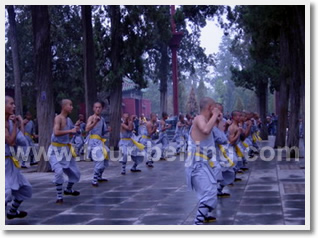Beijing Datong Xian Luoyang 7 Day Tour